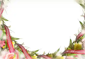 Photo effect from category Different № 116196