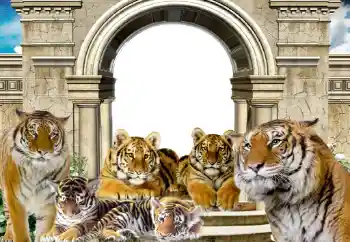 Photo effect from category Different № 116203 Photo effect from category Different № 116203