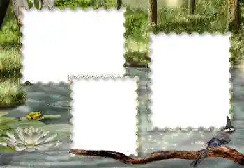 Photo effect from category Different № 116216 Photo effect from category Different № 116216