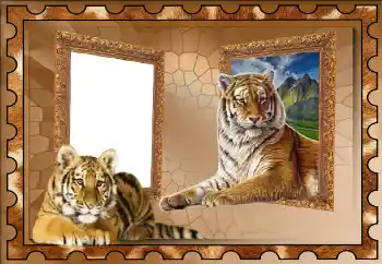 Photo effect from category Different № 117310