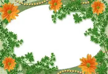 Photo effect from category Different № 118929 Photo effect from category Different № 118929