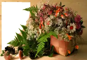 Photo effect from category Different № 120020 Photo effect from category Different № 120020