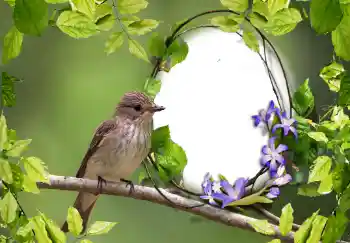 Photo effect from category Different № 123219