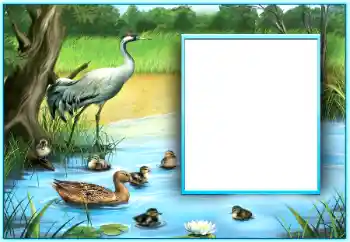 Photo effect from category Different № 124254