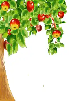 Photo effect from category Different № 124400