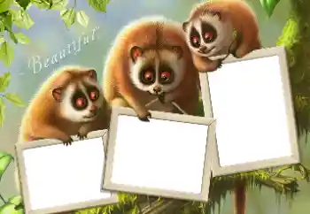 Photo effect from category Different № 124434