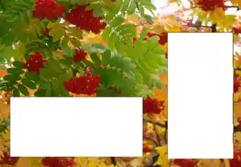 Photo effect from category Different № 124596