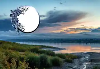 Photo effect from category Different № 125673 Photo effect from category Different № 125673