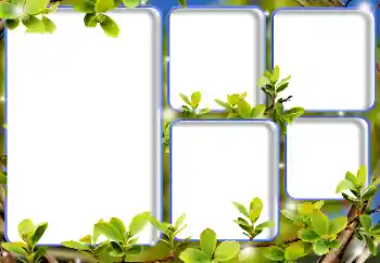 Photo effect from category Different № 125893