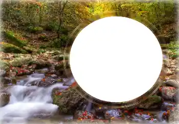 Photo effect from category Different № 126953