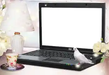 Photo effect from category Different № 127079