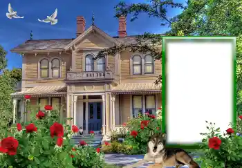 Photo effect from category Different № 127146