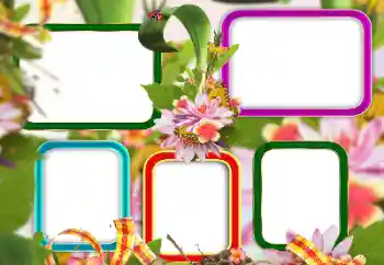 Photo effect from category Different № 129813 Photo effect from category Different № 129813