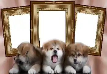 Photo effect from category Different № 130156 Photo effect from category Different № 130156