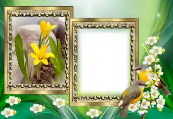 Photo effect from category Different № 130649 Photo effect from category Different № 130649