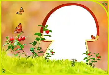 Photo effect from category Different № 131022