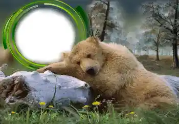 Photo effect from category Different № 131305 Photo effect from category Different № 131305