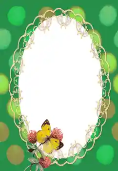 Photo effect from category Different № 132991