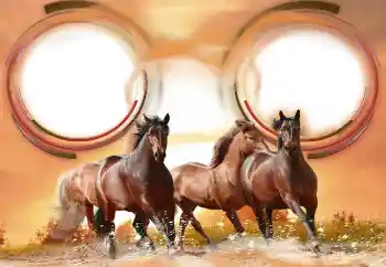 Photo effect from category Different № 133286