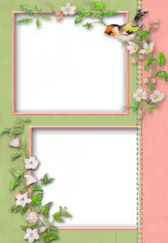 Photo effect from category Different № 13930