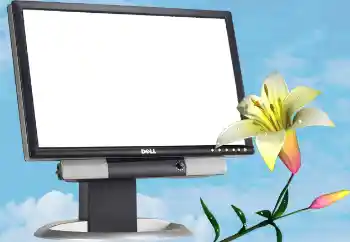 Photo effect from category Different № 13988