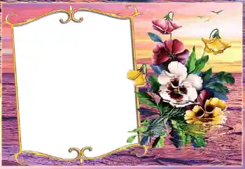 Photo effect from category Different № 143511 Photo effect from category Different № 143511