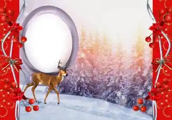 Photo effect from category Different № 144845