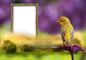 Photo effect from category Different № 147660 Photo effect from category Different № 147660