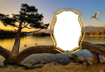 Photo effect from category Different № 147663 Photo effect from category Different № 147663