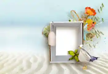 Photo effect from category Different № 147890 Photo effect from category Different № 147890