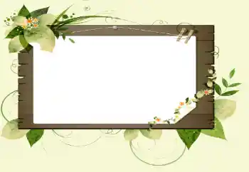 Photo effect from category Different № 14896