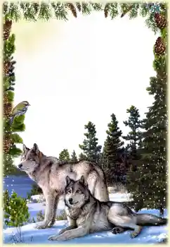 Photo effect from category Different № 149260