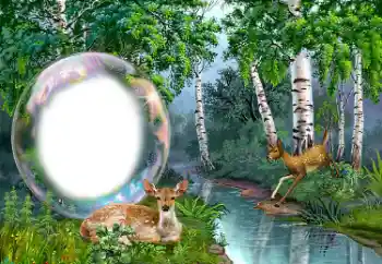 Photo effect from category Different № 149352