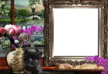 Photo effect from category Different № 149361