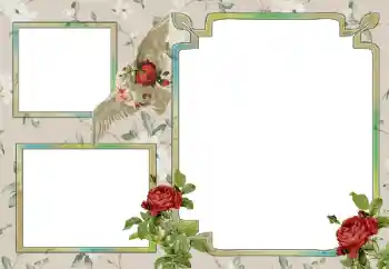 Photo effect from category Different № 15030