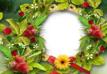 Photo effect from category Different № 151668 Photo effect from category Different № 151668