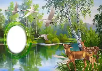 Photo effect from category Different № 151671 Photo effect from category Different № 151671