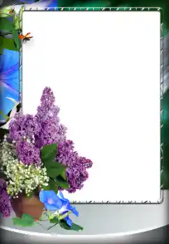 Photo effect from category Different № 151796