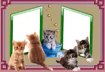 Photo effect from category Different № 153045 Photo effect from category Different № 153045