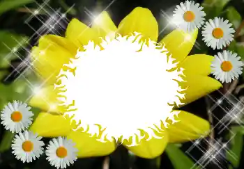 Photo effect from category Different № 1530