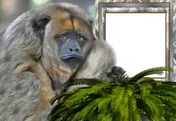 Photo effect from category Different № 154503 Photo effect from category Different № 154503