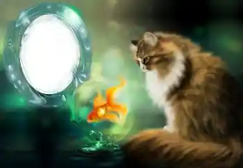 Photo effect from category Different № 154509 Photo effect from category Different № 154509