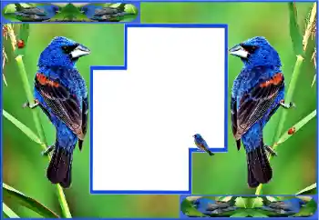 Photo effect from category Different № 154512 Photo effect from category Different № 154512