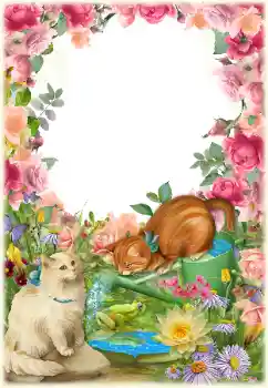 Photo effect from category Different № 154549 Photo effect from category Different № 154549