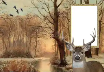 Photo effect from category Different № 154607