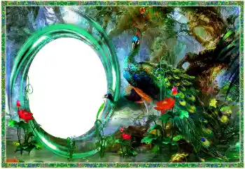 Photo effect from category Different № 154704