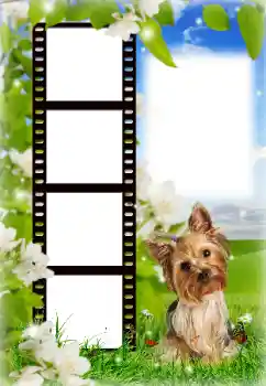 Photo effect from category Different № 154718 Photo effect from category Different № 154718