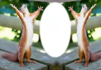 Photo effect from category Different № 154733 Photo effect from category Different № 154733