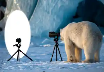 Photo effect from category Different № 154736 Photo effect from category Different № 154736