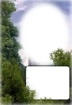 Photo effect from category Different № 154780